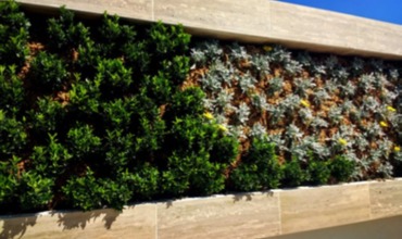 Cortijo de Suerte Alta